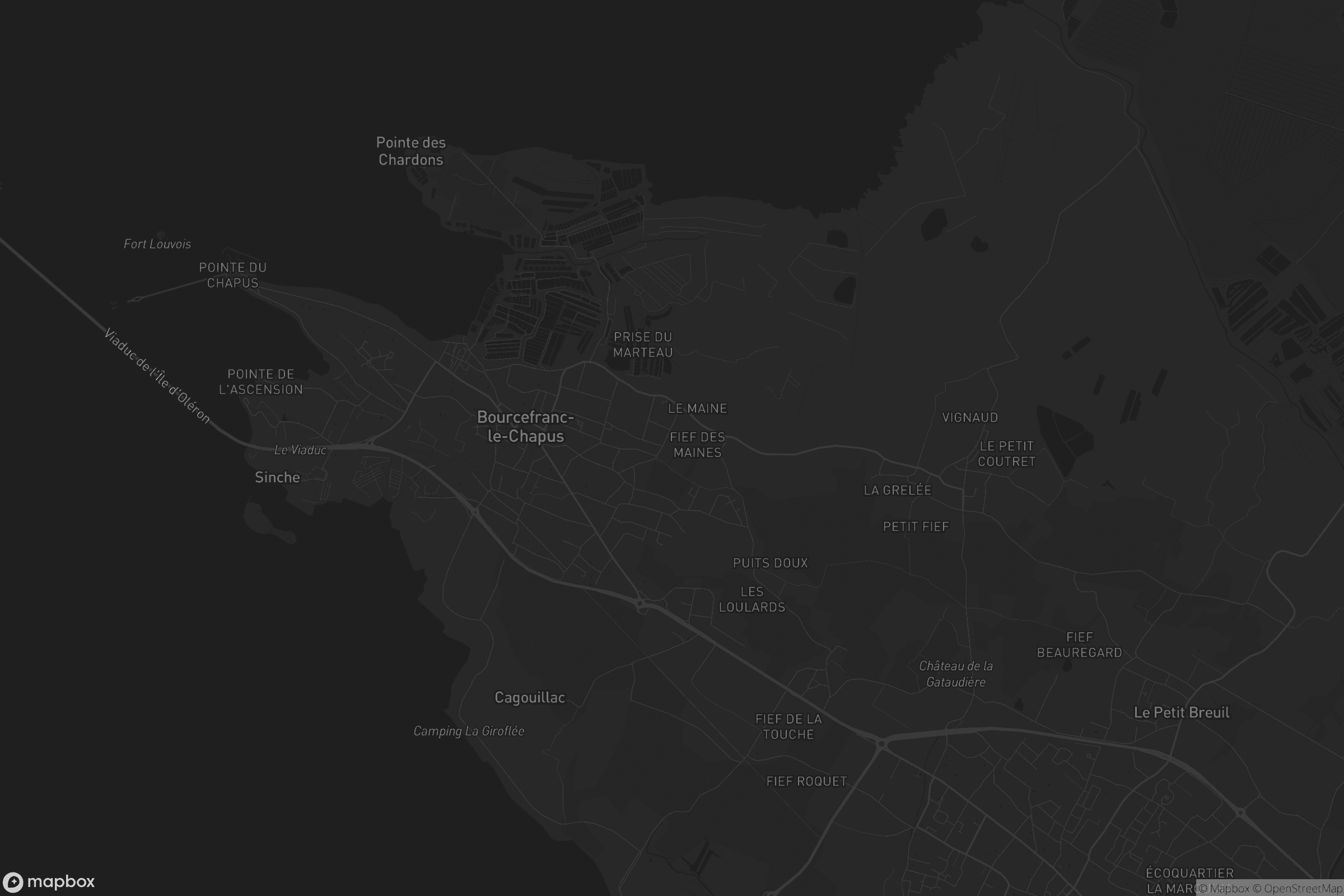 Carte de Bourcefranc-le-Chapus