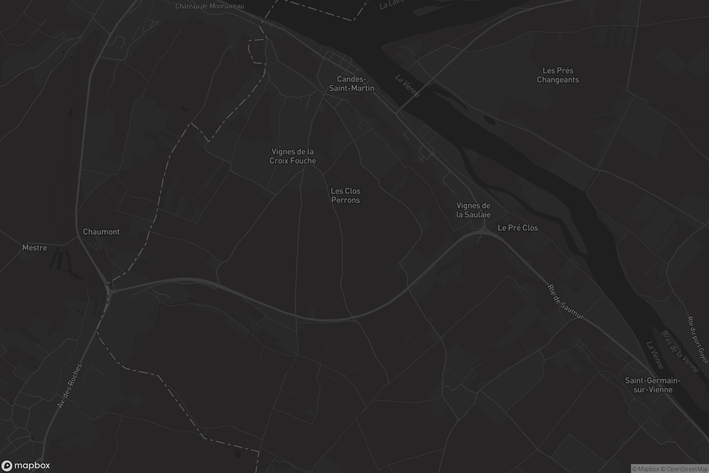 Carte de Candes-Saint-Martin