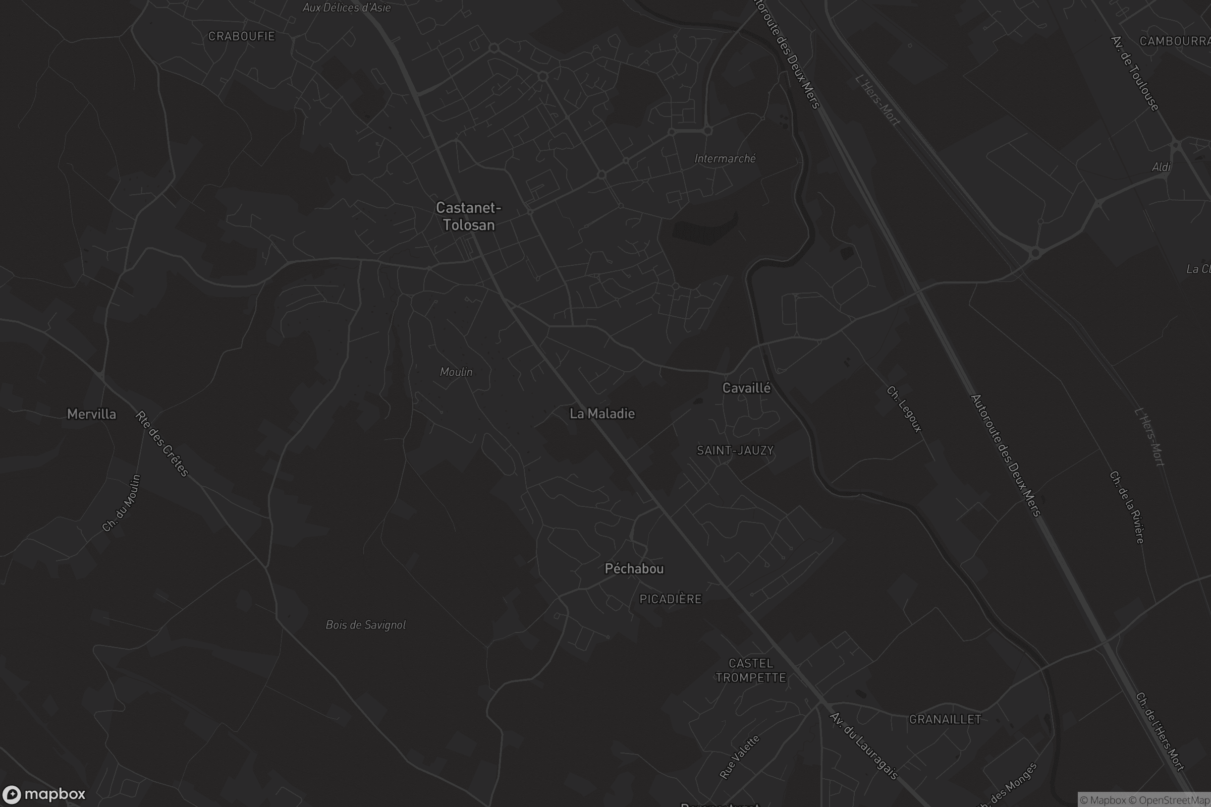 Carte de Castanet-Tolosan