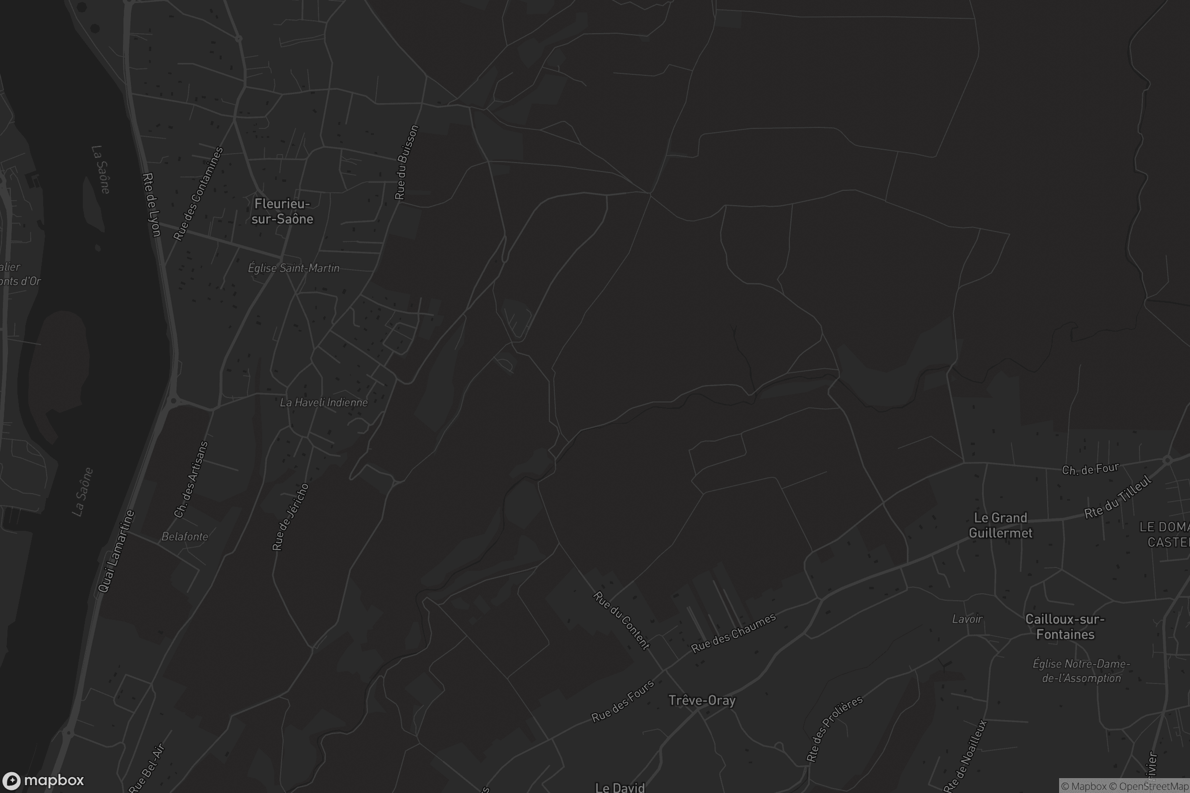 Carte de Fleurieu-sur-Saône