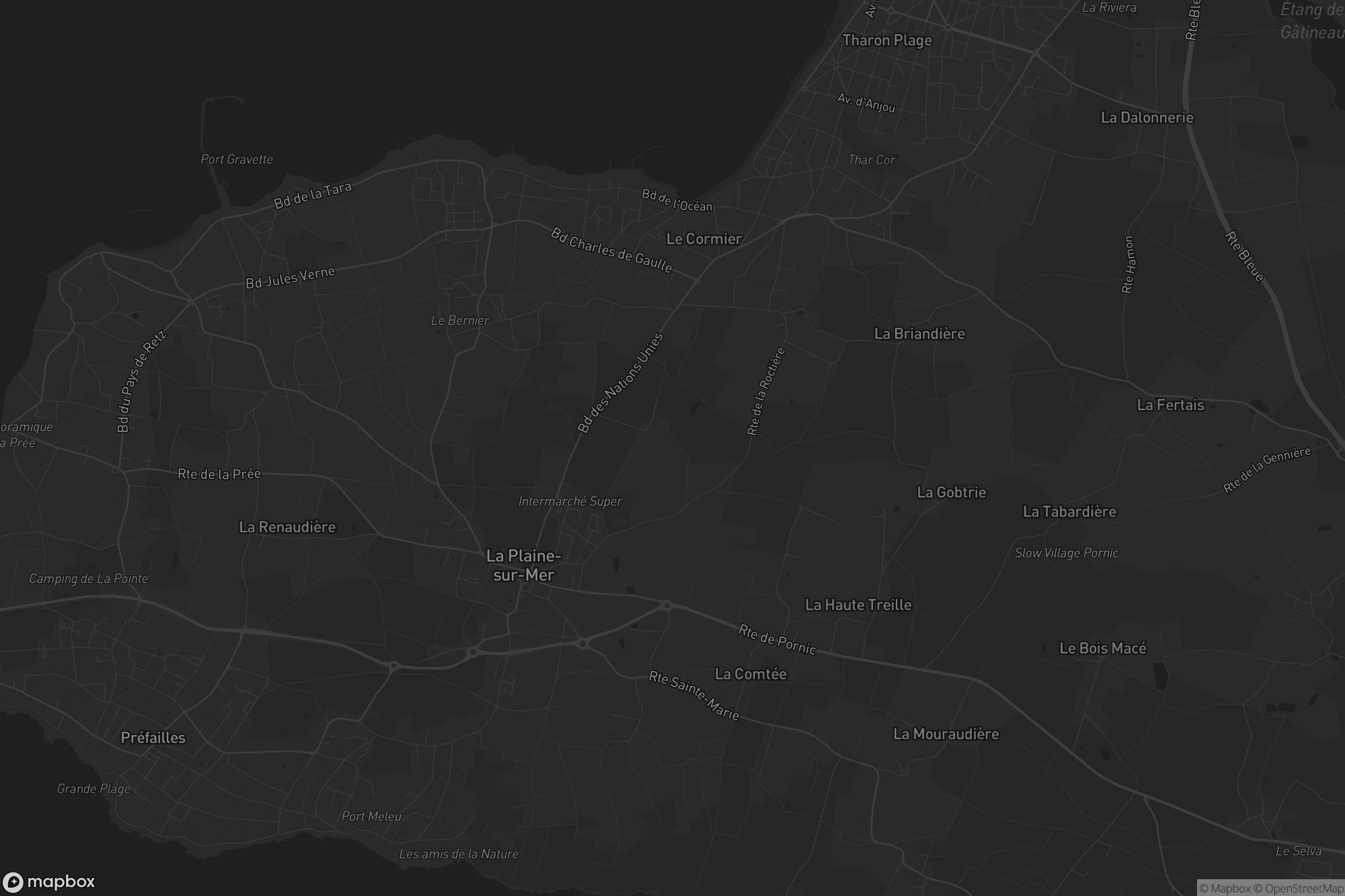 Carte de La Plaine-sur-Mer