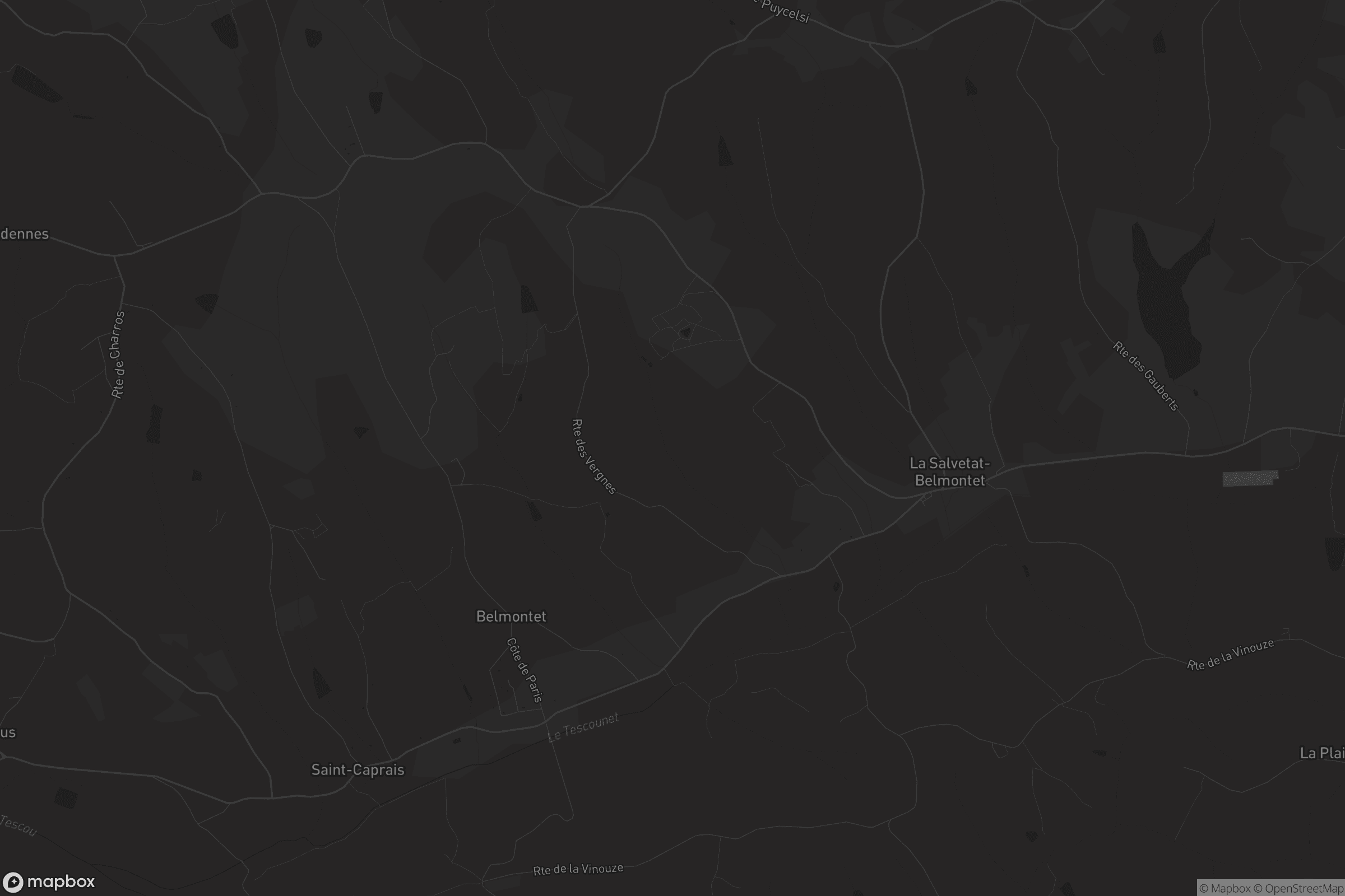 Carte de La Salvetat-Belmontet