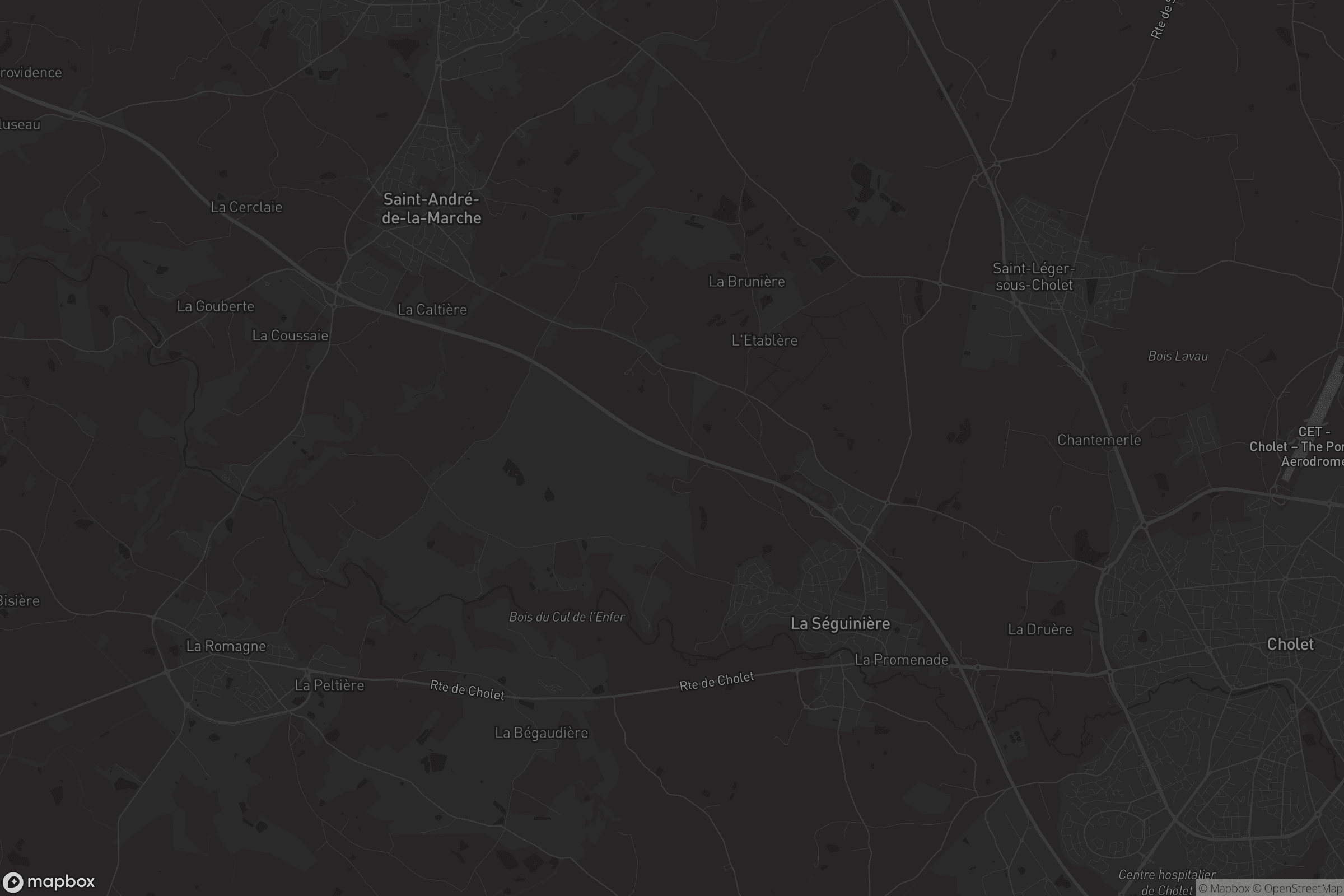 Carte de La Séguinière