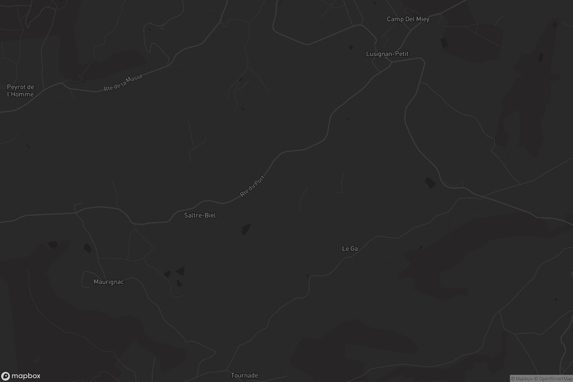 Carte de Lusignan-Petit