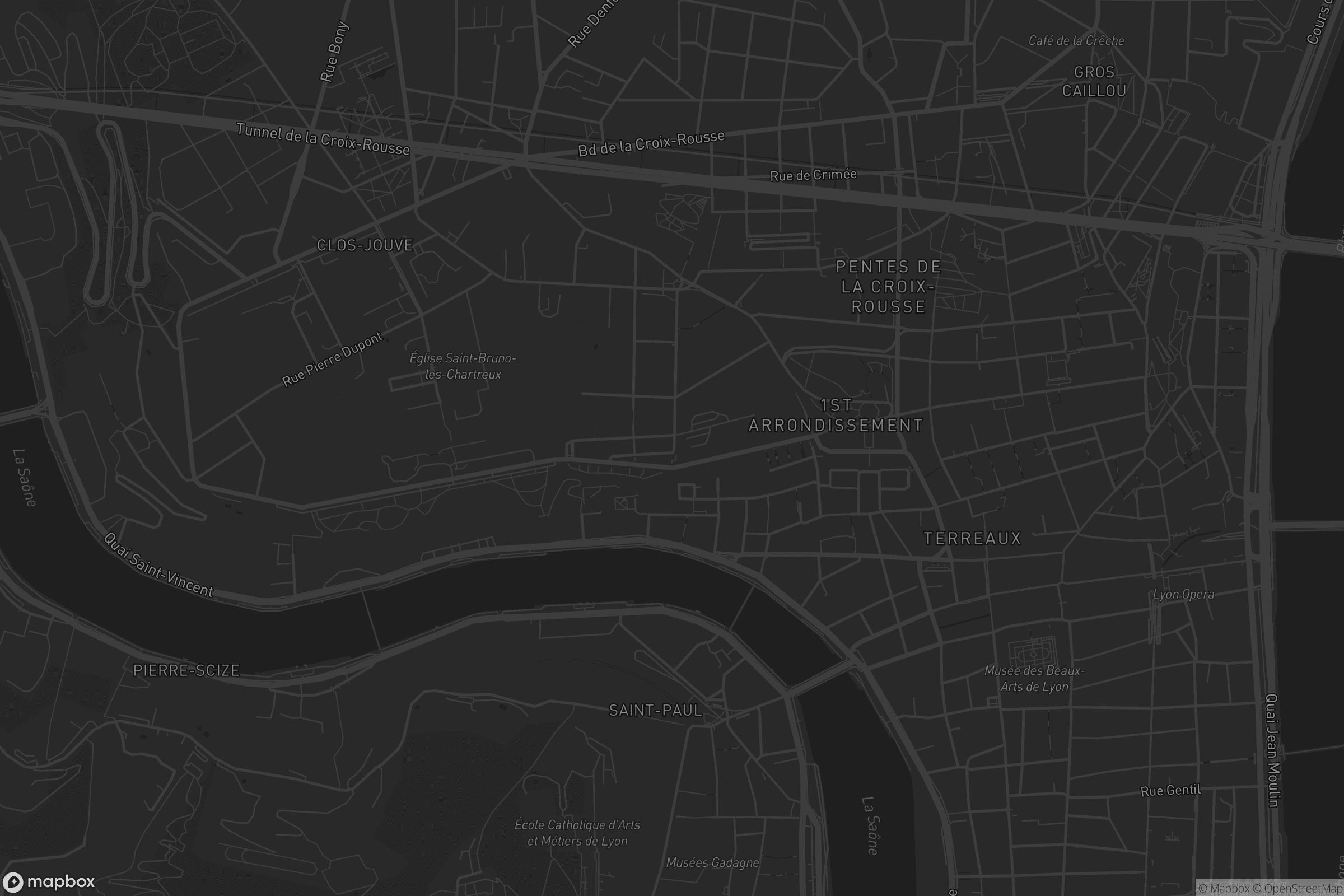 Carte de Lyon 1er Arrondissement