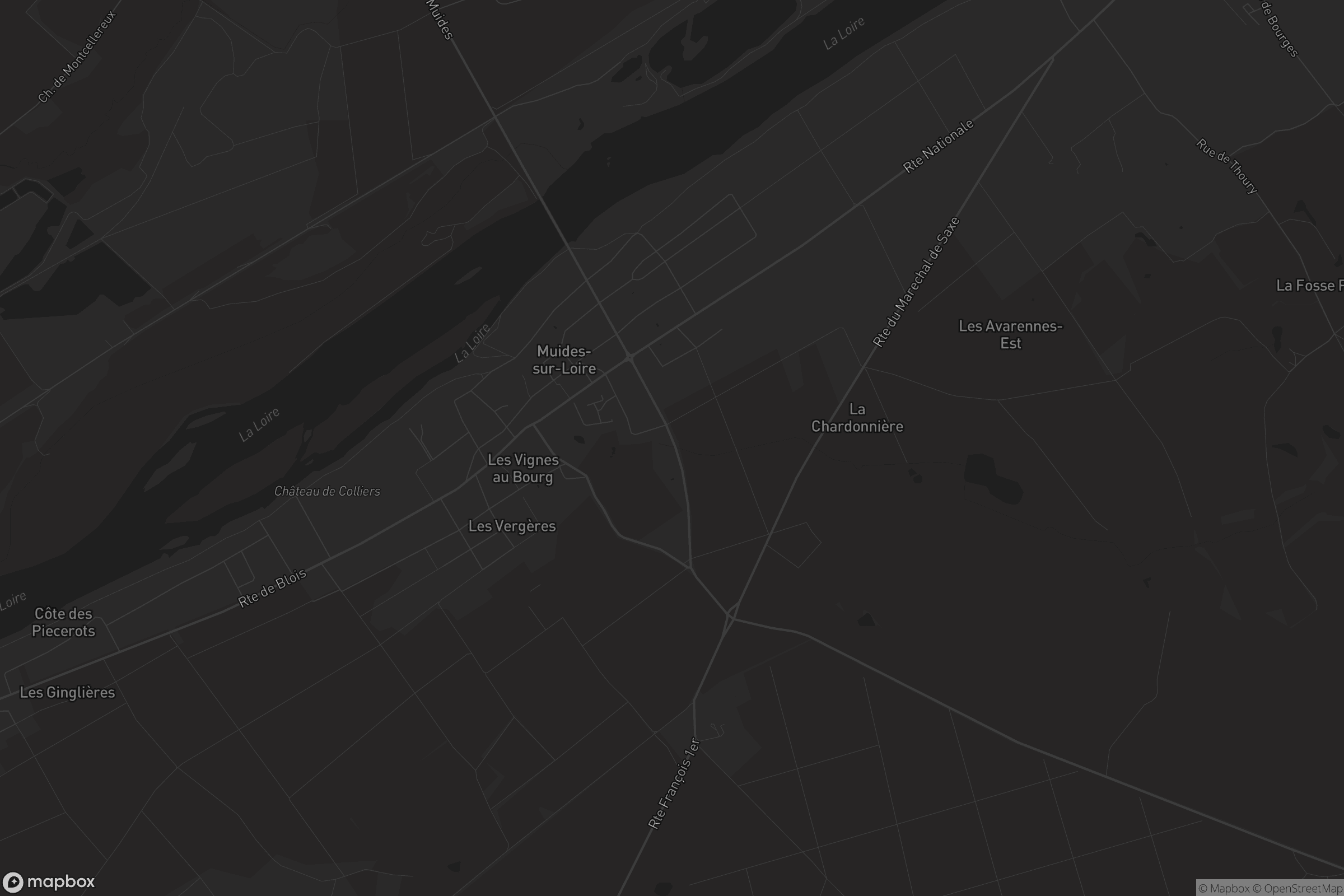 Carte de Muides-sur-Loire