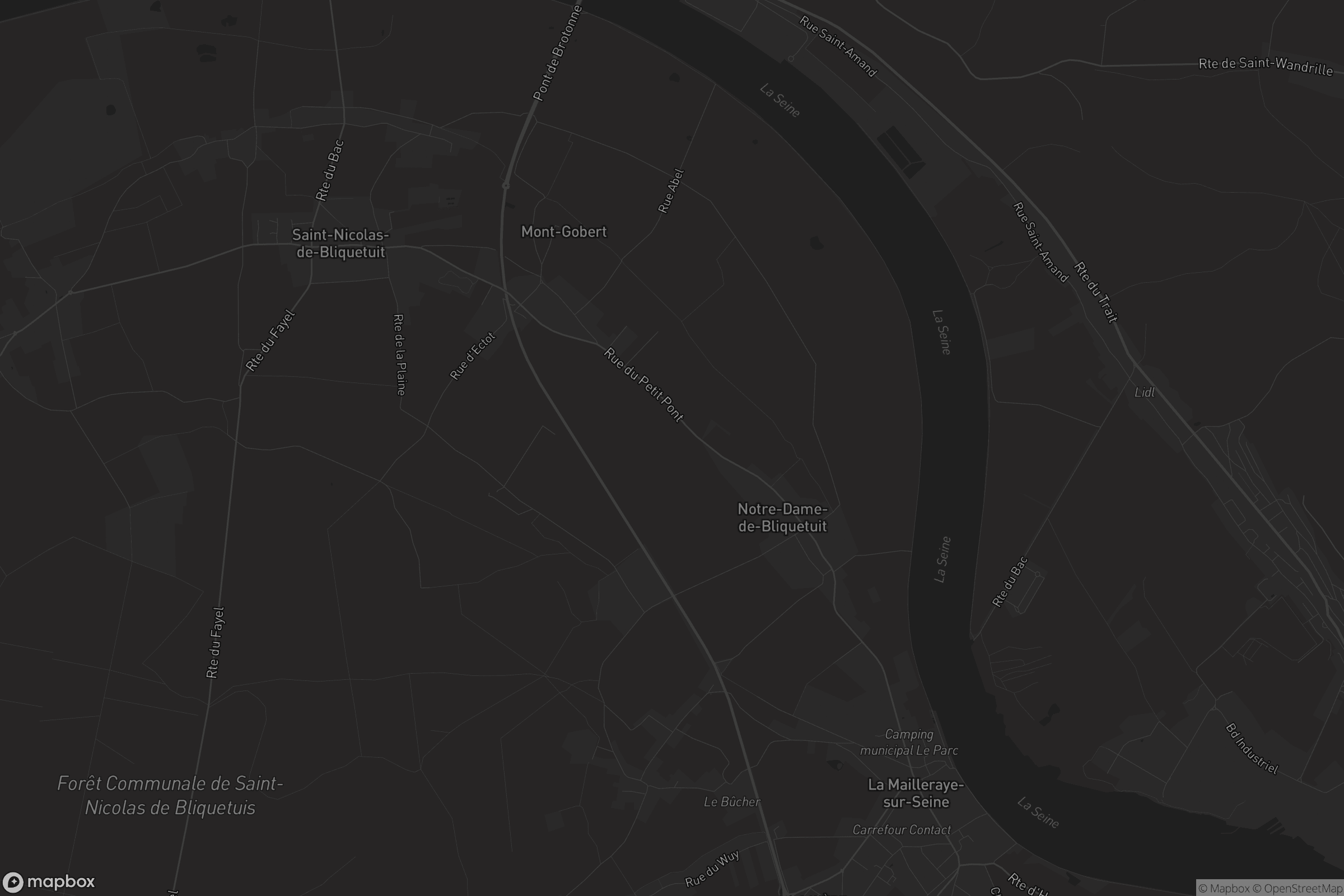 Carte de Notre-Dame-de-Bliquetuit