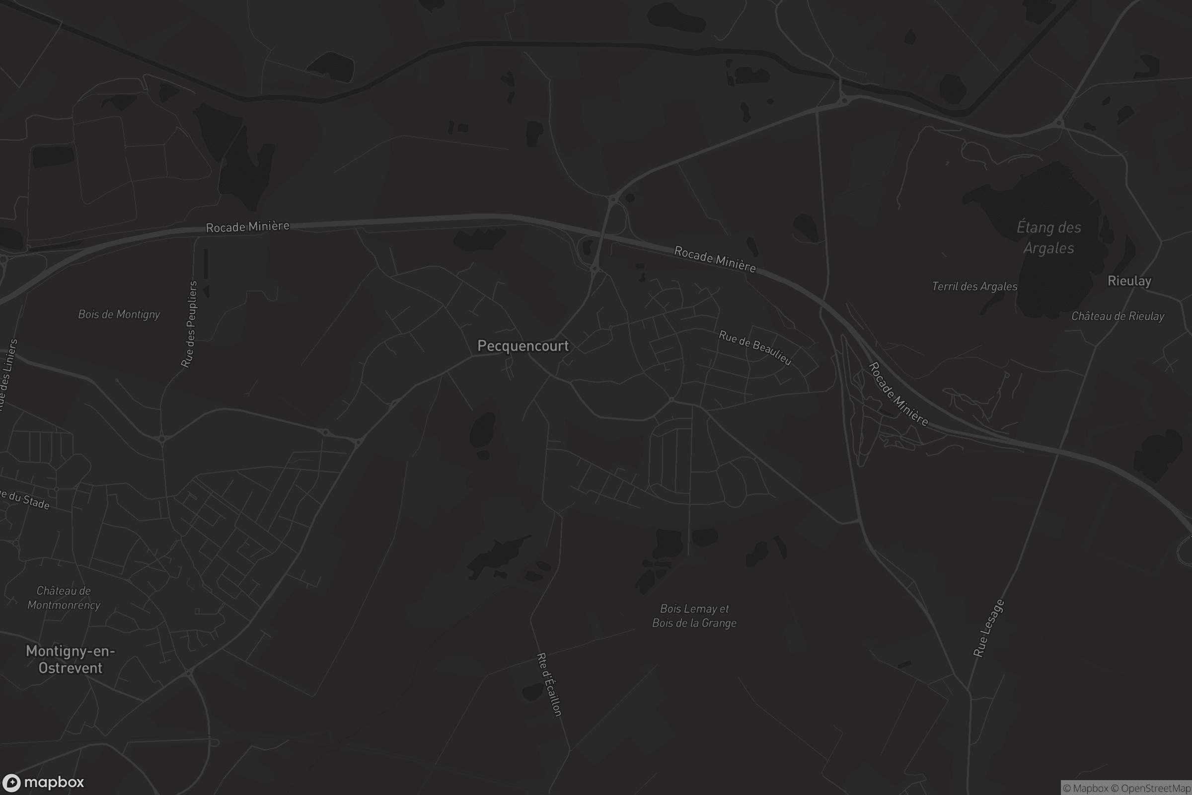 Carte de Pecquencourt