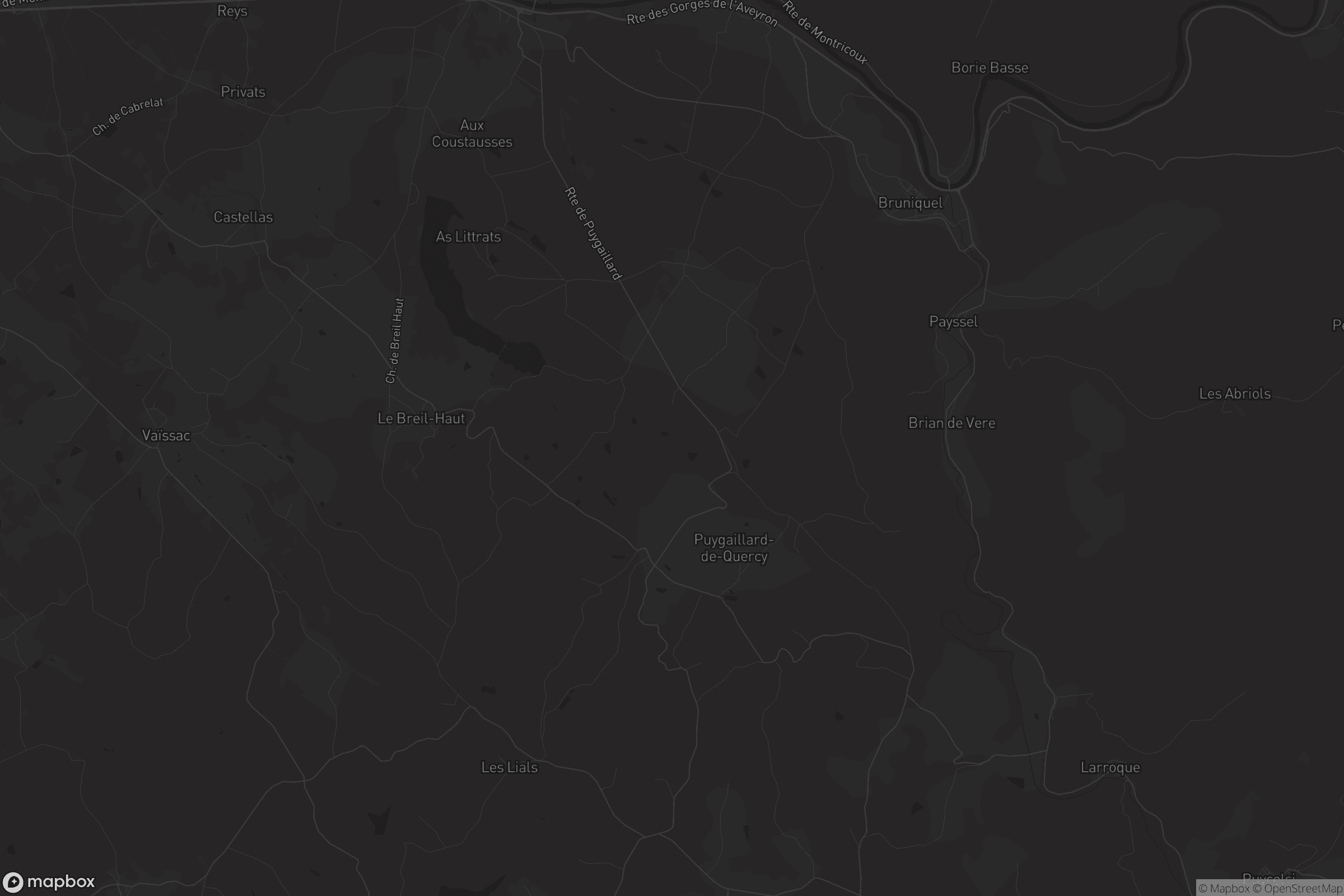 Carte de Puygaillard-de-Quercy