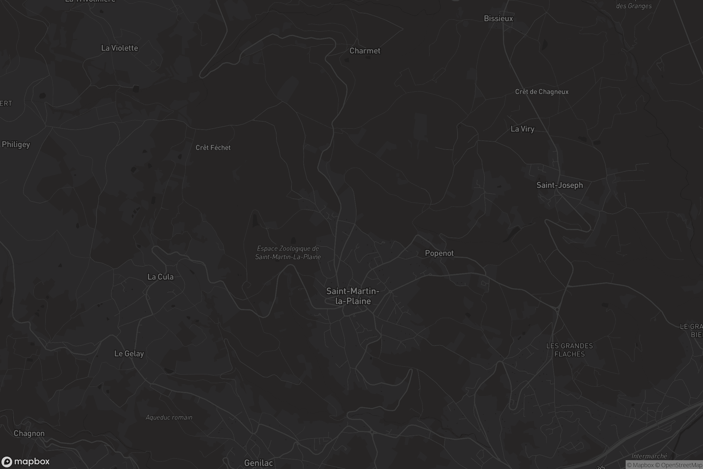 Carte de Saint-Martin-la-Plaine