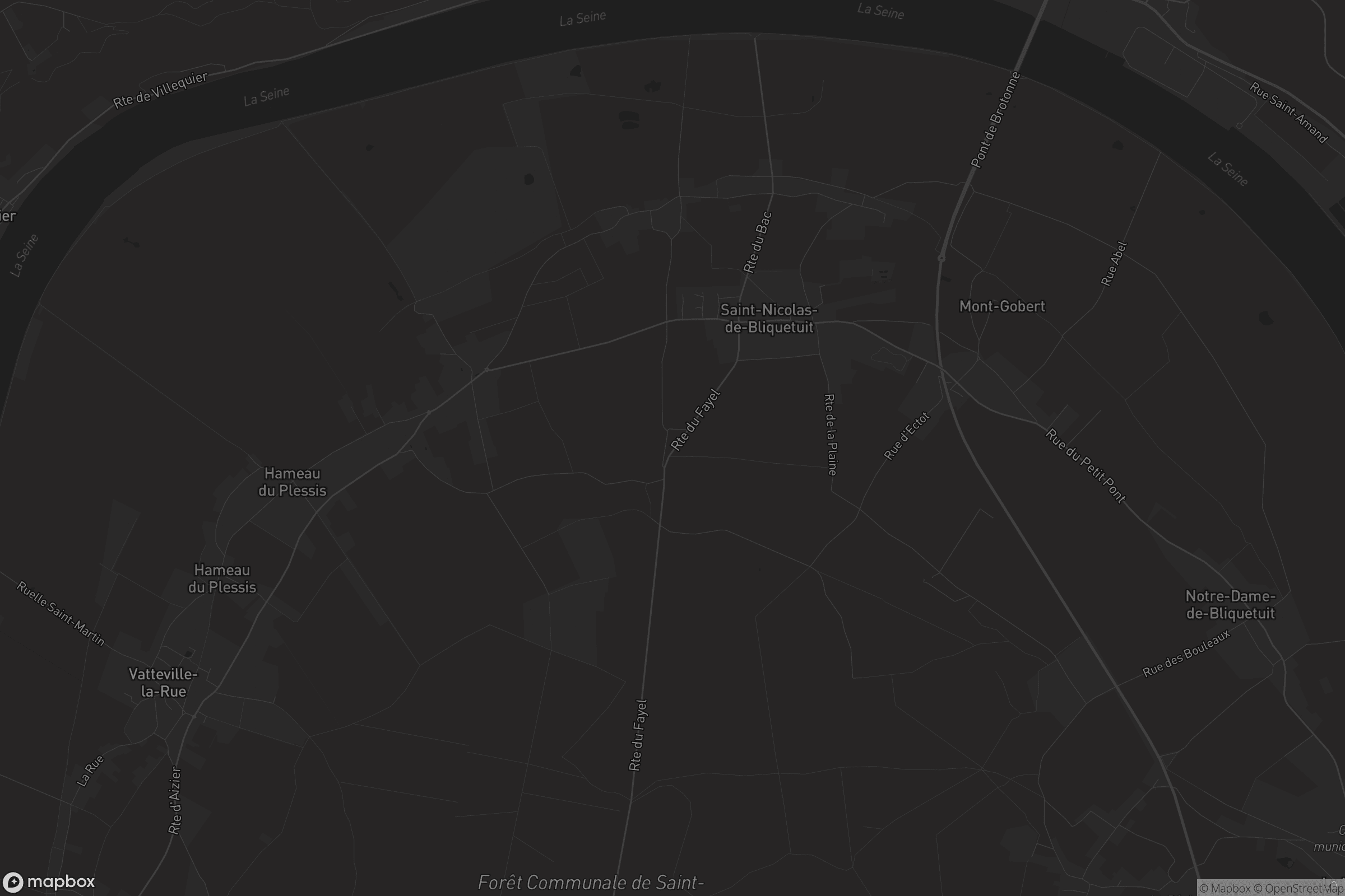 Carte de Saint-Nicolas-de-Bliquetuit