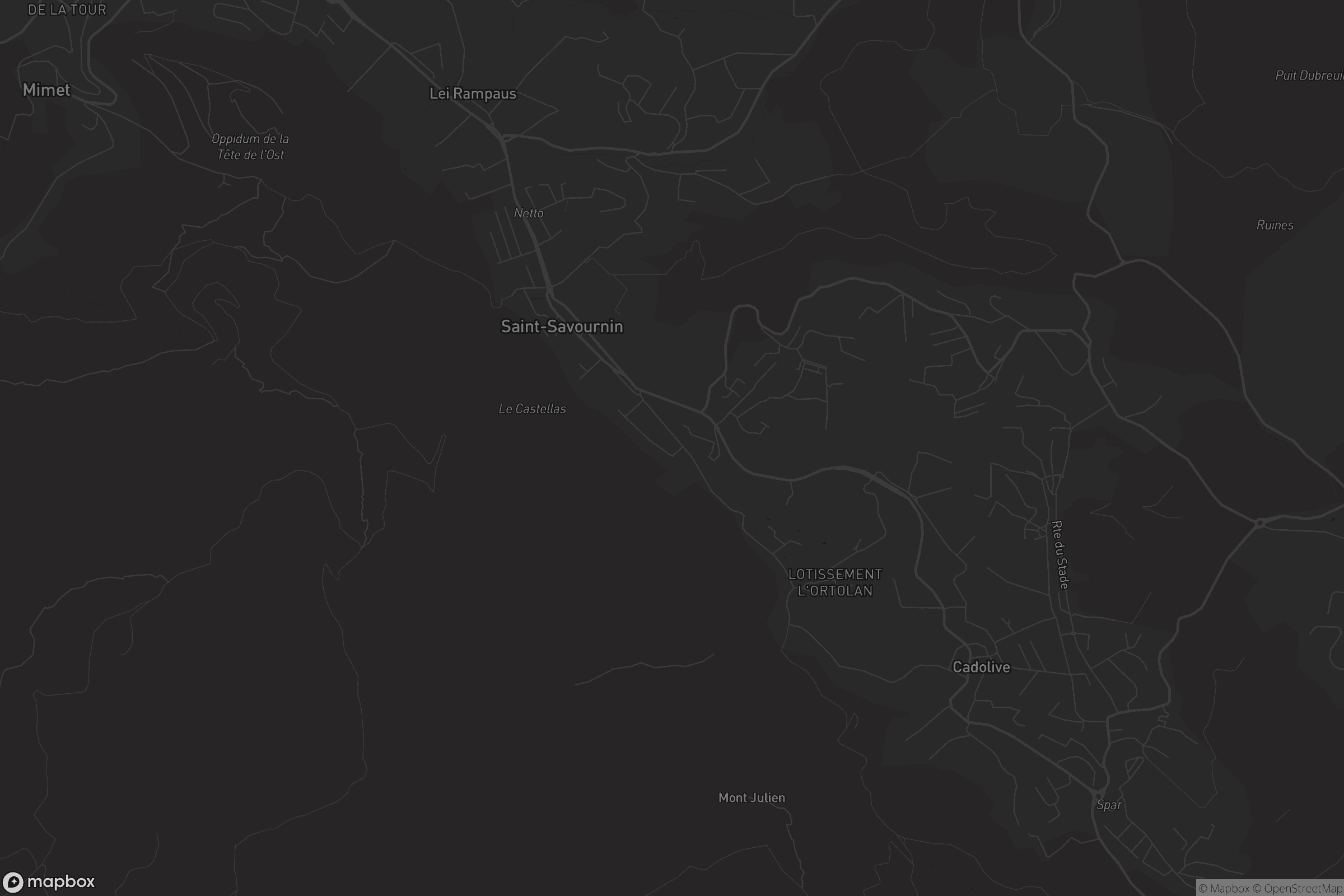 Carte de Saint-Savournin