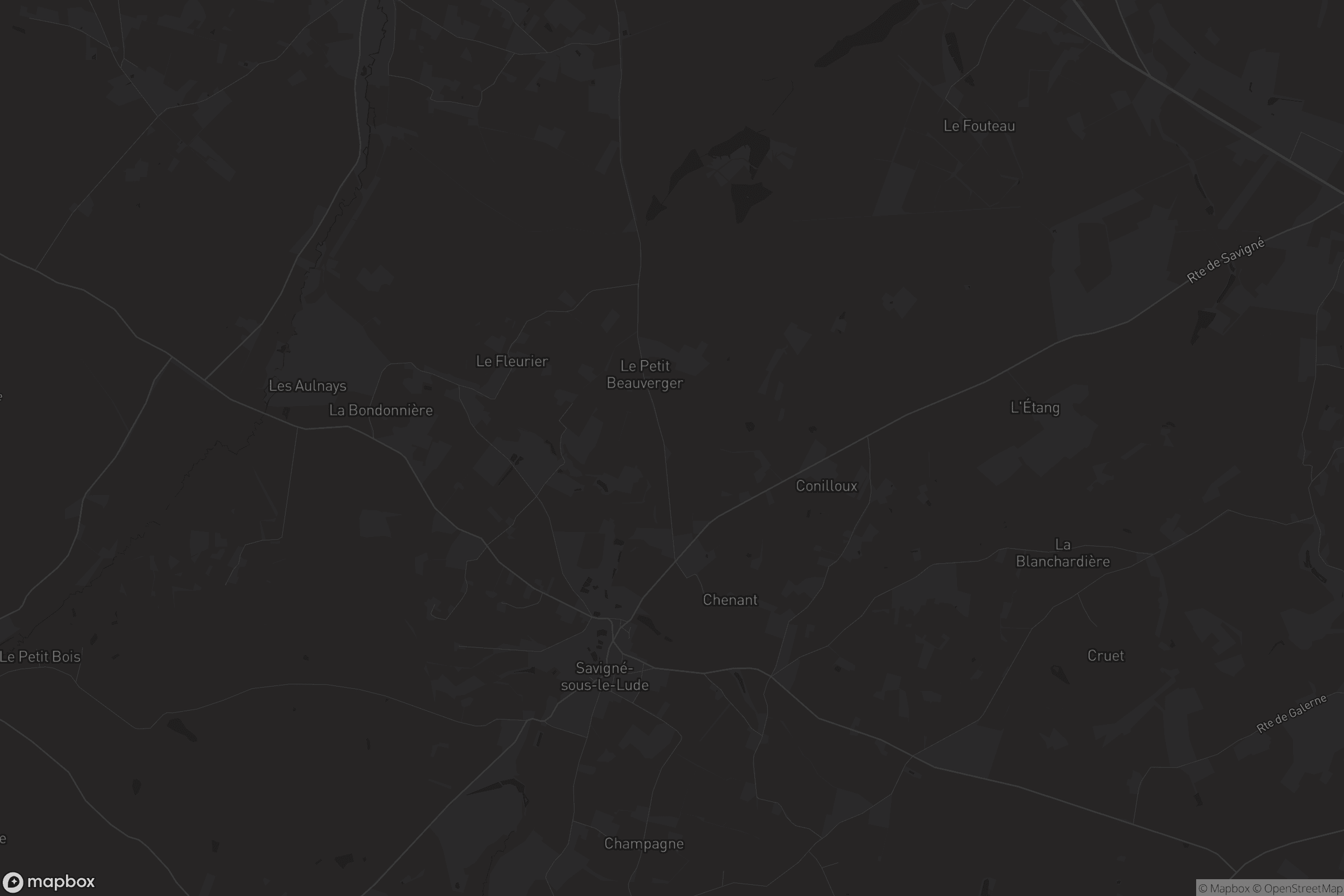 Carte de Savigné-sous-le-Lude