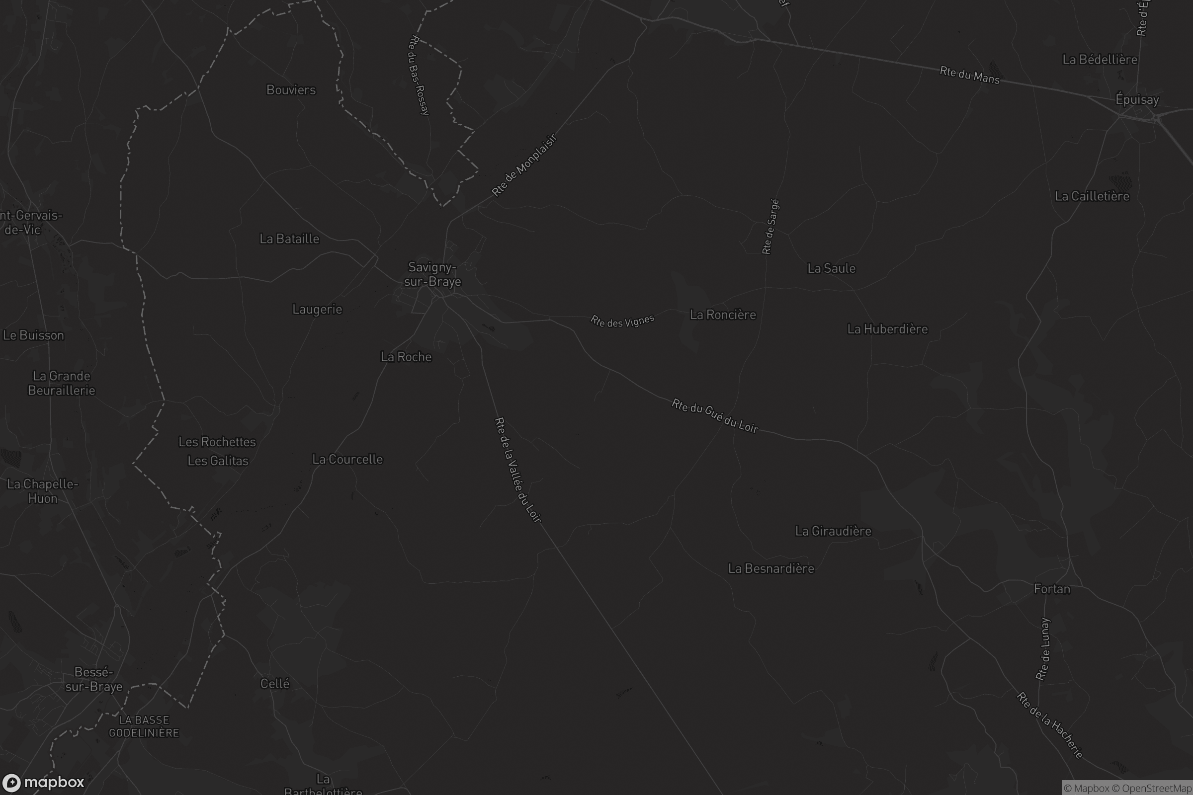 Carte de Savigny-sur-Braye